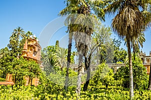 A view across the gardens in the Alcazar Palace in Seville, Spain