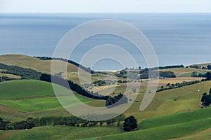 View across grassy hills to Tavora Reserve, Otago, New Zealand.