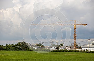 A view across a green rice field to a yellow crane installed on a construction site