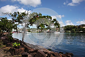 View across the harbor towards Castries, St Lucia, Caribbean photo