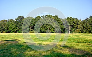 View across Hayes Common in Hayes, Kent, UK