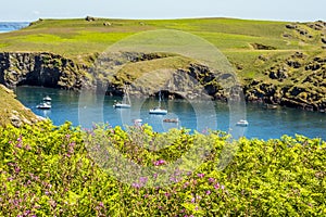 A view across the inner bay of Skomer Island, Wales