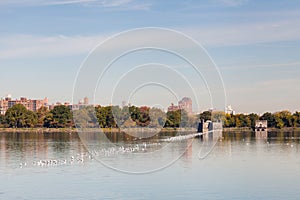 The Jackie Onassis Reservoir in Central Park photo