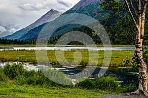 View across lake pond with reflection and trees with cloudy sky