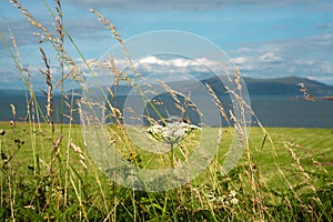 View Across Machair on the Isle of Iona to the Sea and Hills on the Isle of Mull