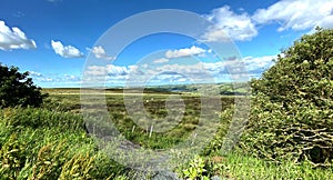 View across the moors, on a summers day on, Askwith Moor Road, Otley, Yorkshire, UK