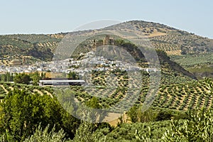 A view across the olive fields to the town and hilltop fortress in Montefrio, Spain