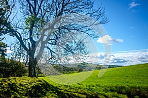 View across open farmland near Ings in the Lake Distict UK