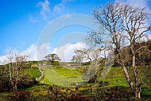 View across open farmland near Ings in the Lake Distict UK