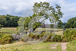 A view across parkland towards Old John Folly in Bradgate Park, Leicestershire, UK