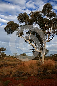View across Pilbara, Australia