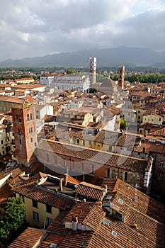 View across rooftops of Lucca in Tuscany