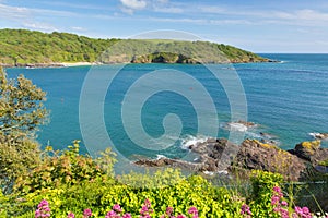 View across Salcome estuary to Sunny Cove secluded beach Devon UK