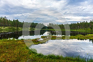 View across a small forest lake with dead calm water