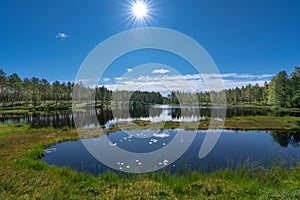 View across a small forest lake in Sweden