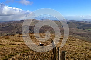 View across the Sperrin Mountains with county line