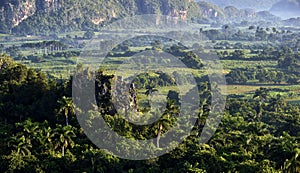 View across the Vinales Valley in Cuba. Morning twilight and fog.