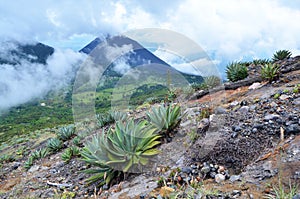 View of active volcano Yzalco, in the clouds photo