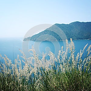 View of Adrasan Bay. Dry feather grass and sea - vintage photo.