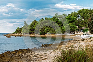 View on Adriatic sea bay with pines in Istria. Croatia. Beautiful beach with loungers and umbrellas