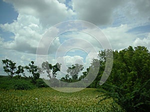 An agricultural farm in india photo