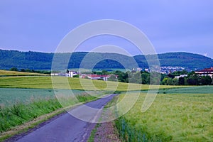 View on the agricultural fields with rye heads and road in Bad Pyrmont, Germany