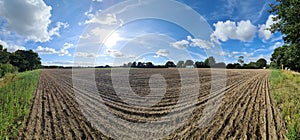 View of an agriculturally used field with green grass