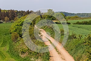 View of an agriculturally used field with green grass