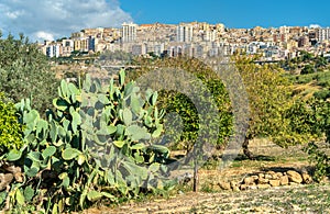 View of Agrigento city from the Kolymbetra Garden in Sicily, Italy