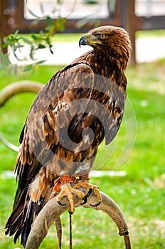 View of Aguila Real at rest