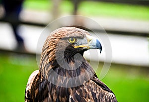 View of Aguila Real at rest