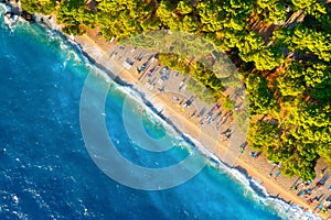 View from the air on the beach. Aerial view. Rest on the beach. Sea relaxation and travel. The forest near the sea.