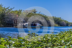 A view of an airboat navigating in a channel in the Everglades, Florida