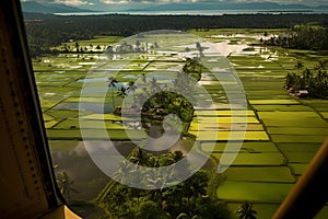 view from airplane window of rice fields and paddy land under a cloudy sky