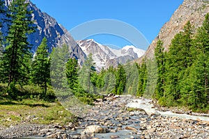 View on Aktru river, mountains and Aktru glacier. Altai Republic. Russia