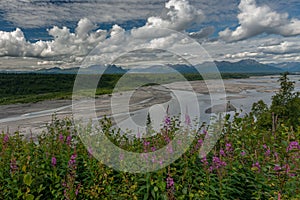 View of Alaskan Mountain Range in Denali National Park, Alaska