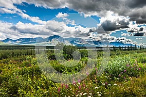 View of Alaskan Mountain Range in Denali National Park, Alaska