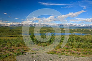 View of Alaskan Mountain Range in Denali National Park, Alaska