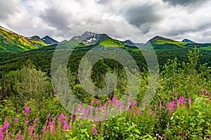 View of Alaskan Mountain Range in Denali National Park, Alaska