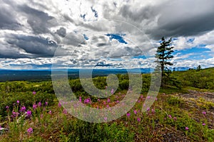 View of Alaskan Mountain Range in Denali National Park, Alaska