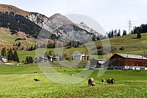 View of the albula pass in grisons, switzerland, europe