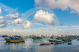 View of Alexandria harbor