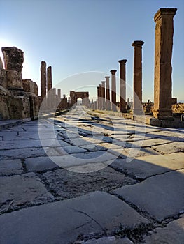 View of the aligned pillars of the famous Roman ruins in Timgad, Algeria