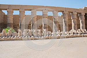 View of aligned sphinxes