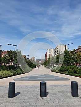 view of Allee Jean Jaures Toulouse, France