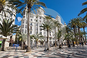 View of alley of palm trees in Alicante