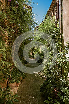 View of alley with stone houses, plants and slope in Saint-Paul-de-Vence.