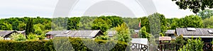 view into a allotment gardens, hedges left and right, roof of tiny houses