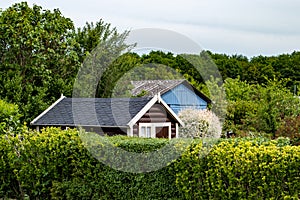 view into a allotment gardens, hedges left and right, roof of tiny houses