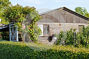 view into a allotment gardens, hedges left and right, roof of tiny houses